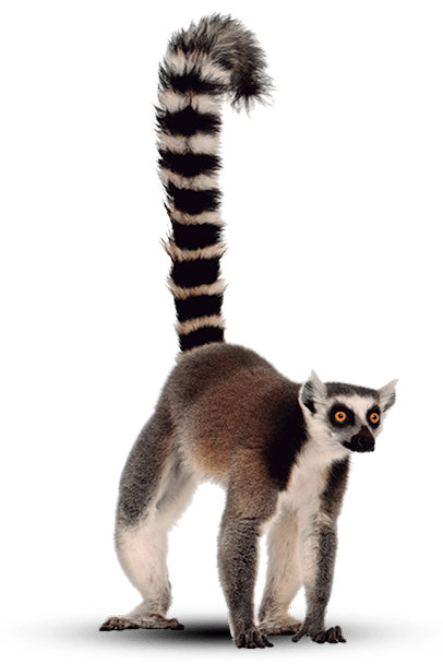 Voyage sur mesure à Nosy Be