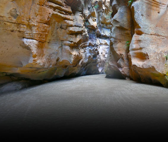 Voyages vers Morondava